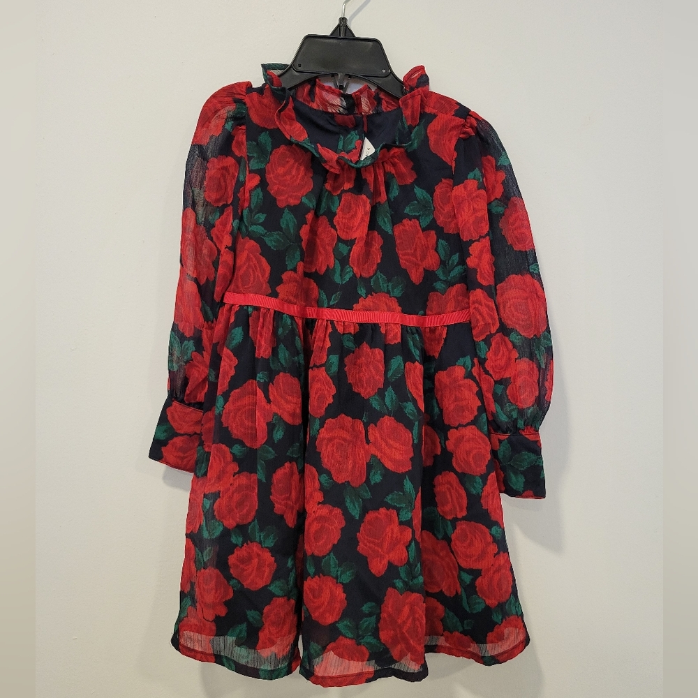 Janie And Jack Rose Chiffon Dress Size 3